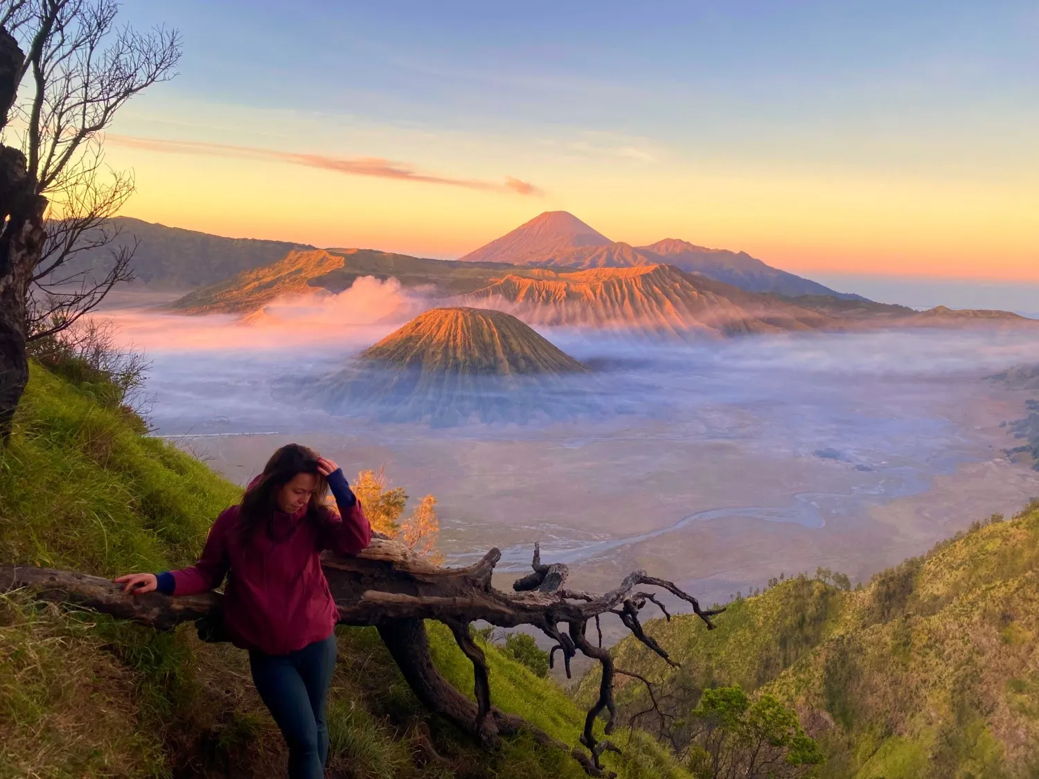 Bromo Tour